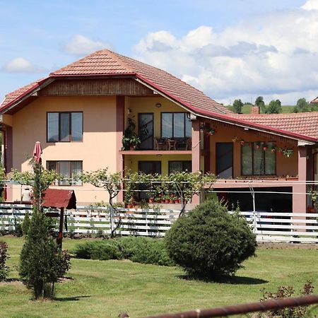 Casa De Vacanta Madalina Novaci-Străini Eksteriør bilde