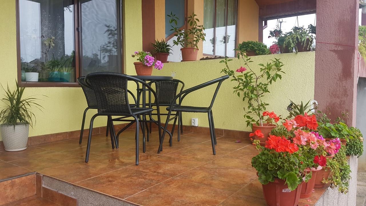 Casa De Vacanta Madalina Novaci-Străini Eksteriør bilde