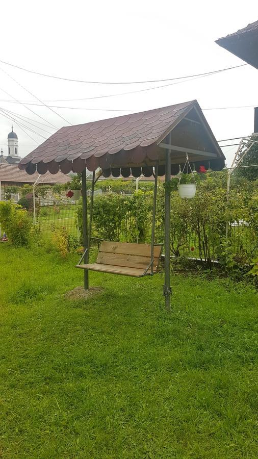 Casa De Vacanta Madalina Novaci-Străini Eksteriør bilde