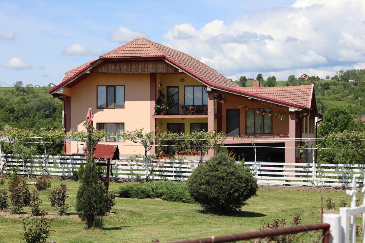 Casa De Vacanta Madalina Novaci-Străini Eksteriør bilde